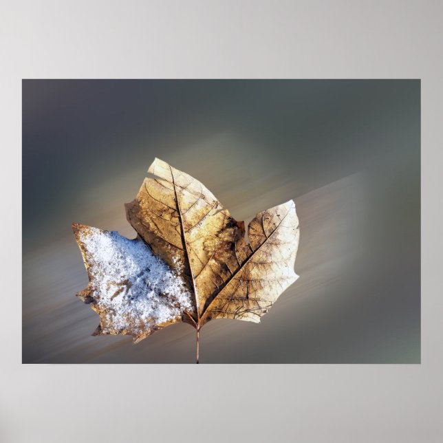 Póster viento y nieve (Frente)