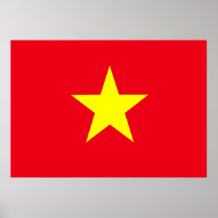 Póster Vietnam Flag