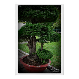 Póster Vietnam Travel Adventures