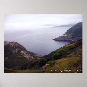 Póster View From Signal Hill 1 Poster