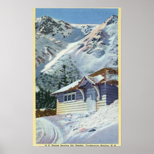 Póster View of a US Forest Service Ski Shelter (Frente)