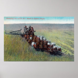 Póster View of Farmers Harvesting with Huge Horse