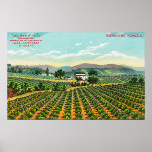Póster View of the Giersberg VineyardNapa, CA