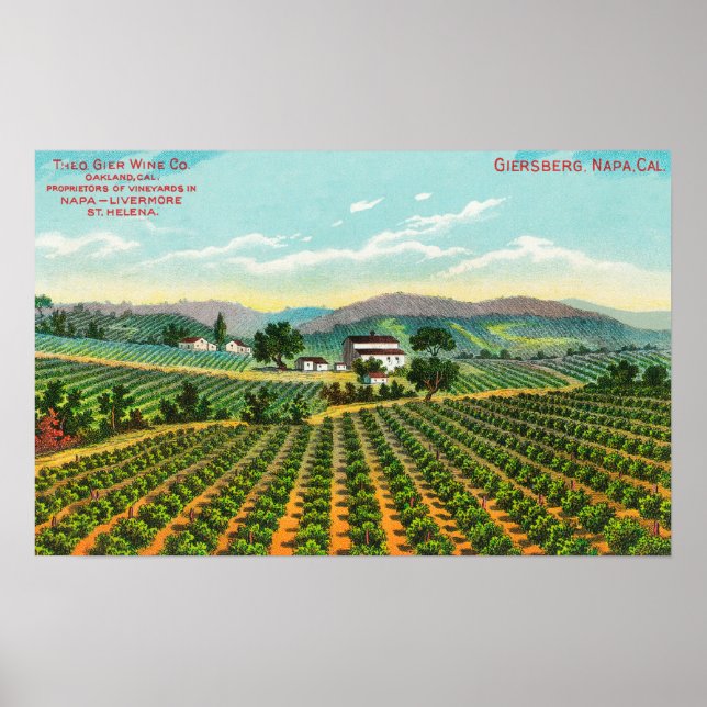 Póster View of the Giersberg VineyardNapa, CA (Frente)