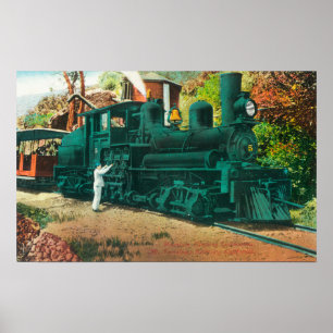 Póster View of the Mt. Tamalpais Railway Train