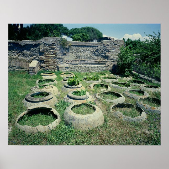 Póster View of the shops (Frente)