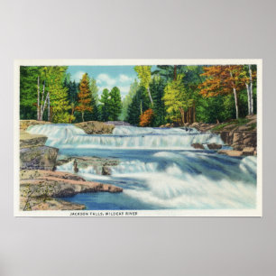 Póster View of the Wild Cat River and Jackson Falls