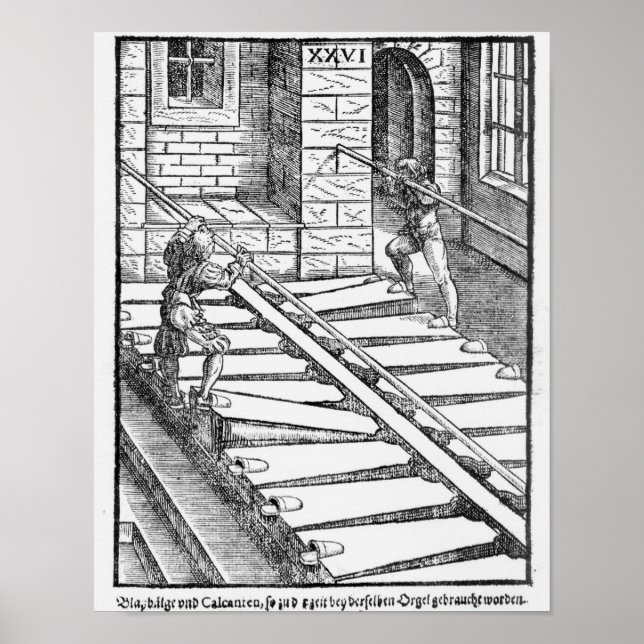 Póster Vigas de órganos y flores (Frente)