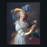 Póster Vigée Le Brun - Marie Antoinette In Muslin Vress<br><div class="desc">Marie Antoinette con un traje de muselina de Élisabeth Vigée Le Brun. Para más imágenes listas para posters del libro 117 "Élisabeth Vigée Le Brun - Paintings & Drawings" de la serie de arte Zedign,  visite https://art.zedign.com/posters/</div>