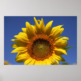 Póster Vigila un poco