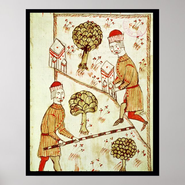 Póster Vigilancia y demarcación de la tierra (Frente)