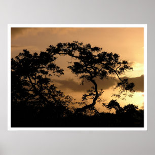 Póster vigilante solar