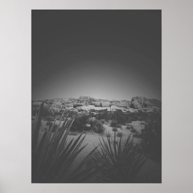 Póster Vignette Black and White Joshua Tree Desert Scene (Frente)