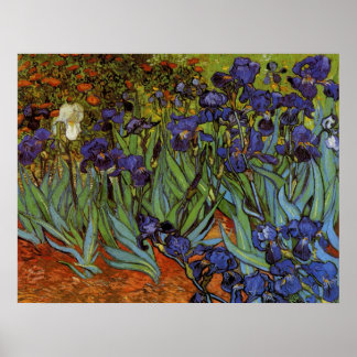 Póster Vincent van Gogh 31