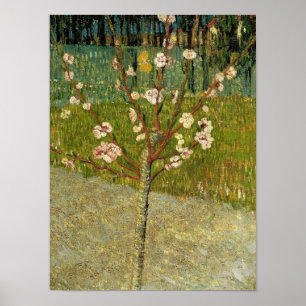 Póster Vincent van Gogh - Almendro en flor