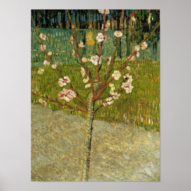 Póster Vincent van Gogh - Almendro en flor (Frente)
