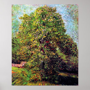 Póster Vincent Van Gogh - Árbol de castaño en flor
