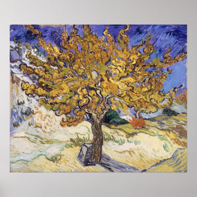Póster Vincent van Gogh | Árbol de mora, 1889 (Frente)