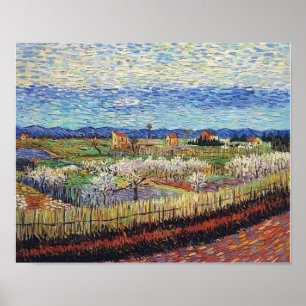Póster Vincent Van Gogh - Árboles de melocotón en Bella A