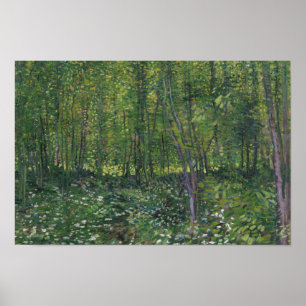 Póster Vincent van Gogh - Árboles y subcrecimiento