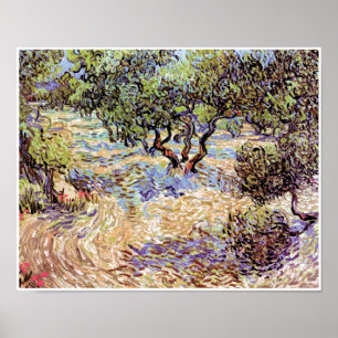Póster Vincent Van Gogh - Bella Artes de Orchard Olive