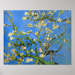 Póster Vincent Van Gogh - Bella Artes del árbol de almend