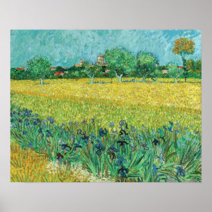Póster Vincent van Gogh - Campo con lirios cerca de Arlés