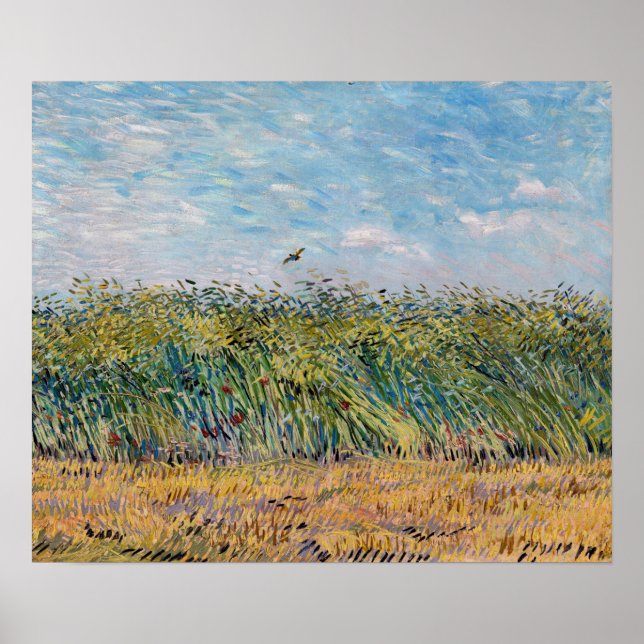 Póster Vincent van Gogh - Campo de Trigo con un Lark (Frente)