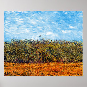 Póster Vincent Van Gogh - Campo de trigo con una alondra