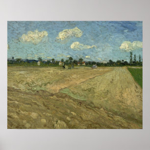 Póster Vincent van Gogh - Campos de flores
