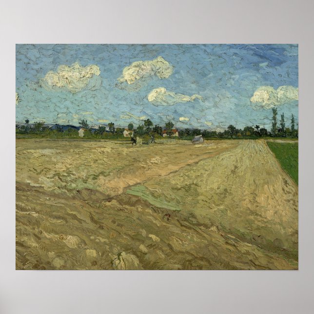 Póster Vincent van Gogh - Campos de flores (Frente)