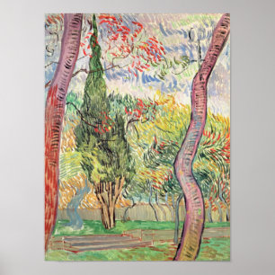 Póster Vincent van Gogh el   el jardín del hospital de