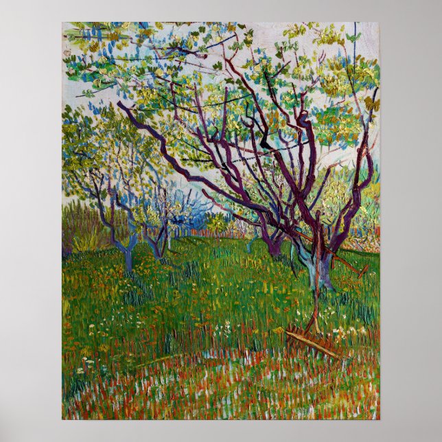 Póster Vincent van Gogh - El huerto en flor (Frente)