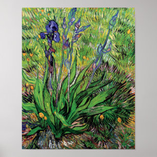 Póster Vincent Van Gogh - El Iris Amante de la Naturaleza