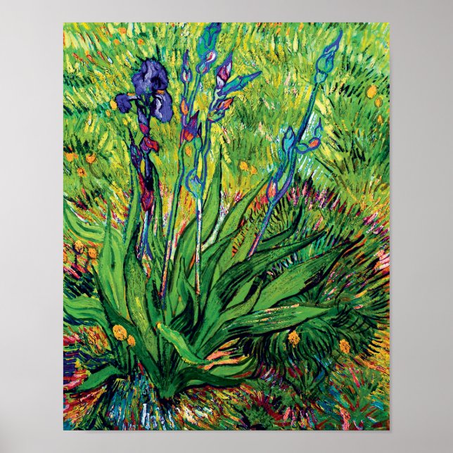 Póster Vincent Van Gogh - El Iris - Flower Lover Pop Art (Frente)