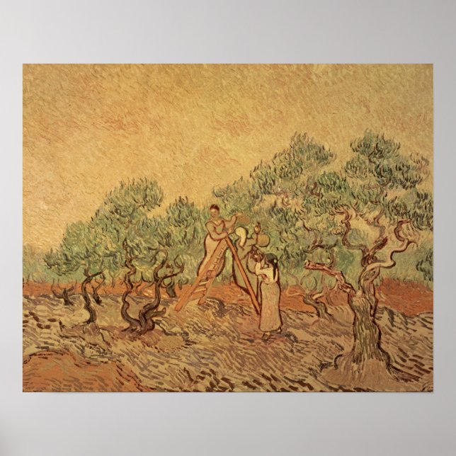 Póster Vincent van Gogh | El Olivar, 1889 (Frente)