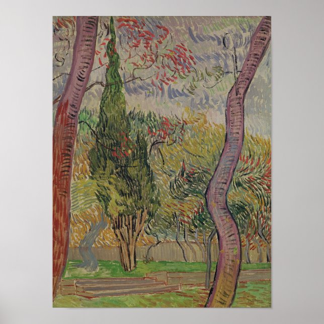 Póster Vincent van Gogh | El parque de Saint-Paul (Frente)