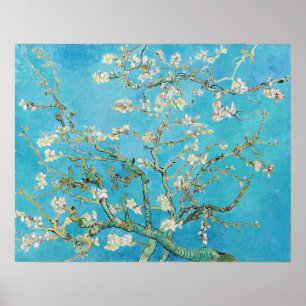 Póster Vincent van Gogh - Flor de Almendro