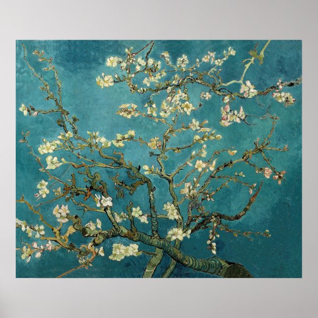 Póster Vincent Van Gogh - Floreciente árbol de almendros (Frente)