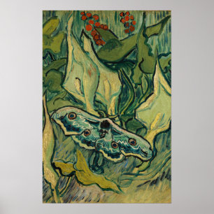 Póster Vincent van Gogh - Gran Polilla Pavo Real