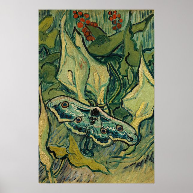 Póster Vincent van Gogh - Gran Polilla Pavo Real (Frente)