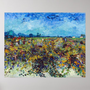 Póster Vincent van Gogh - Green Vineyard