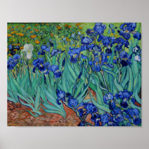 Póster Vincent Van Gogh Iris Vibrant Flower Bella Artes