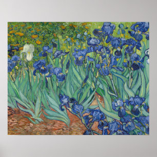 Póster Vincent van Gogh - Irises