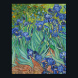 Póster Vincent Van Gogh - Irises<br><div class="desc">Vincent Van Gogh - Irises, 1889 . Famoso cuadro de arte.</div>