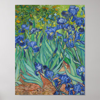 Póster Vincent Van Gogh - Irises