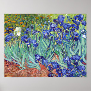 Póster Vincent van Gogh Irises