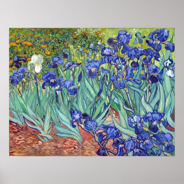 Póster Vincent van Gogh Irises (Frente)