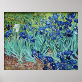 Póster Vincent van Gogh, Irises.