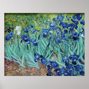 Póster Vincent van Gogh, Irises.
